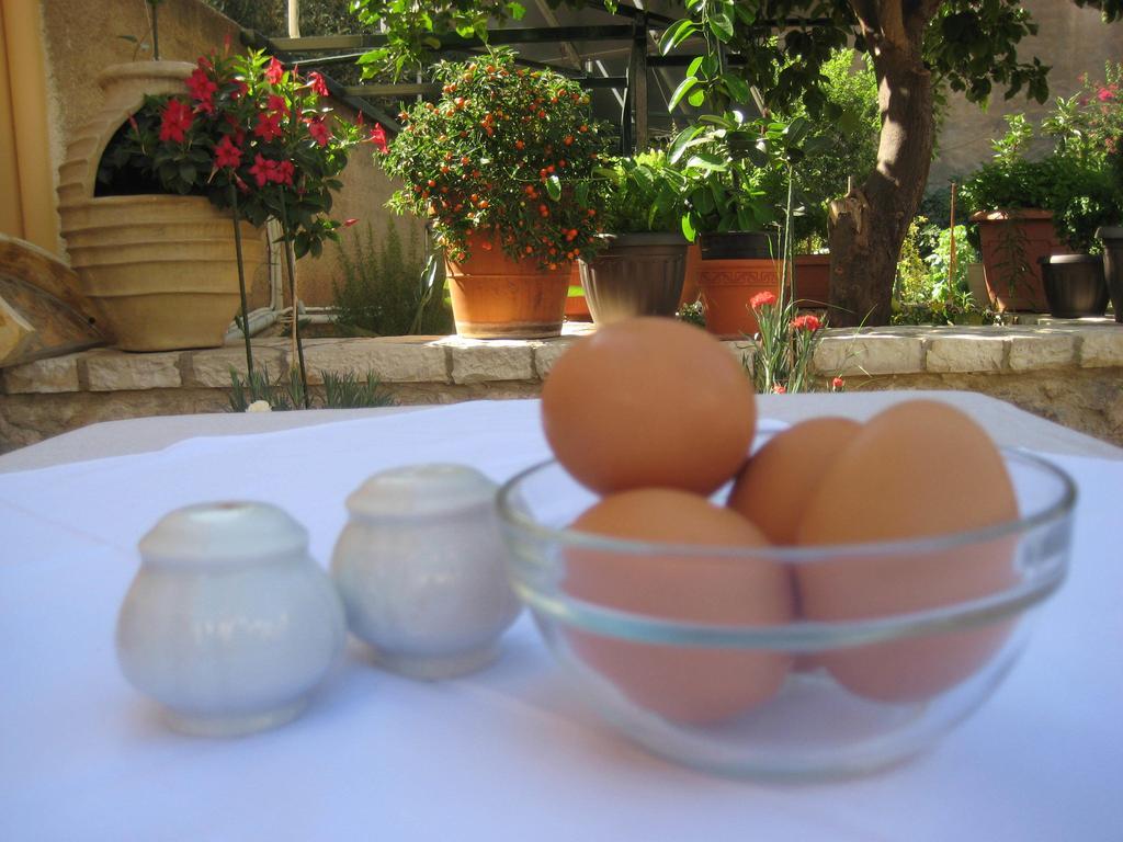 Nostos Hotel Galaxidi Ngoại thất bức ảnh